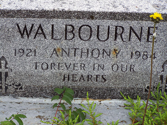 Anthony Walbourne