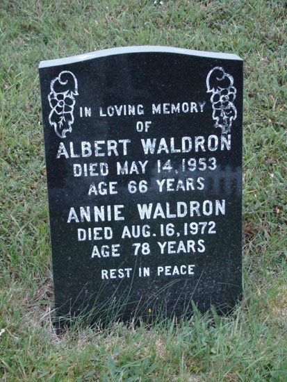 Albert and Annie Waldron