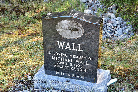 Michael Wall