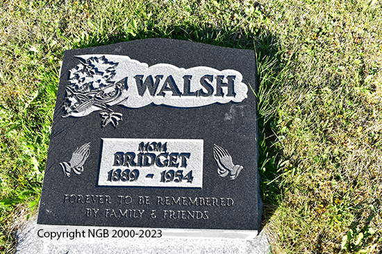 Bidget Walsh