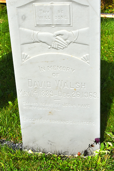David Walsh