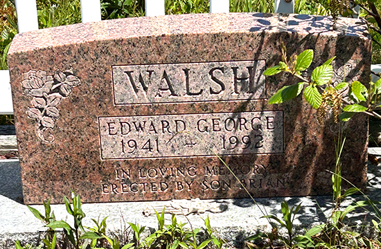 Edward George Walsh