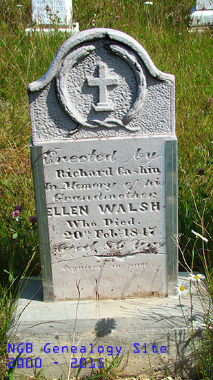 Ellen Walsh