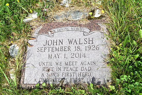 John Walsh