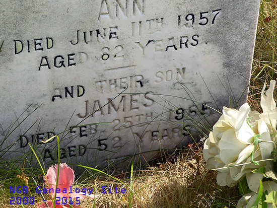 John, Ann & James Walsh