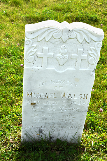 Michael Walsh