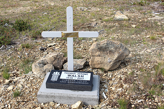 Thomas Jerome Walsh