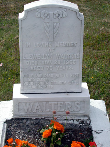 Llewellyn Walters