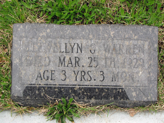 Llewelyn G. Warren