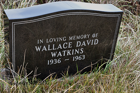 Wallace David Watkins