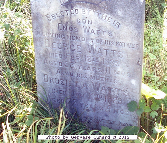 George & Drusilla Watts