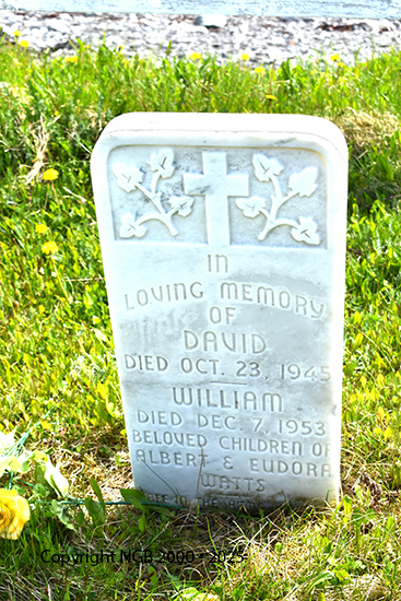 William & DAvid Watts