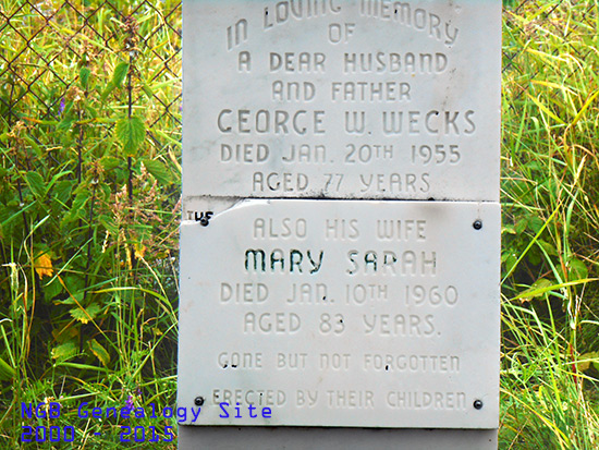 George W. & Mary Sarah Wecks