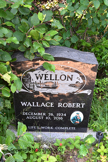 Wallace Robert Wellon