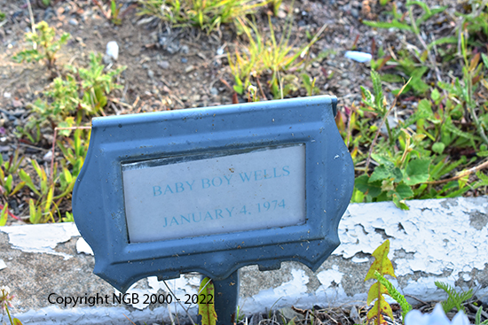 Baby Boy Wells