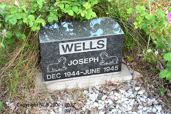 Joseph Wells