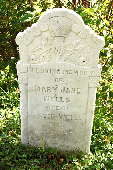 Mary Jane Wells