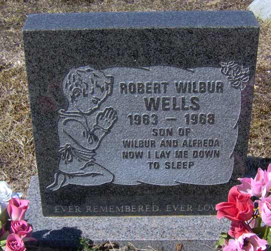 Robert Wilbur Wells