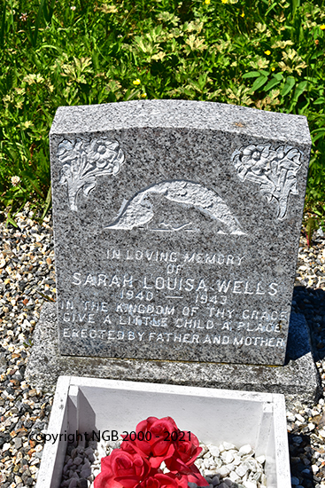 Sarah Louisa Wells