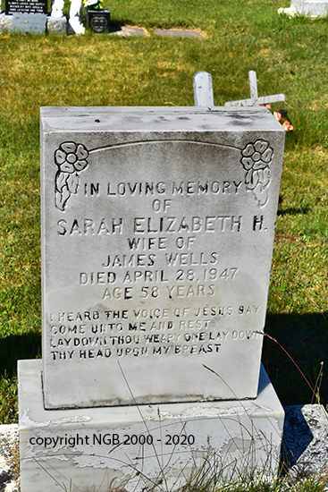 Sarah Elizabeth H. Wells