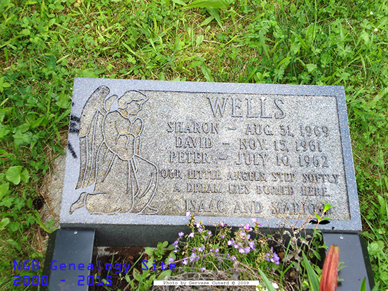 Sharon, David & Peter Wells 
