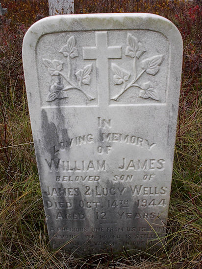 William James Wells
