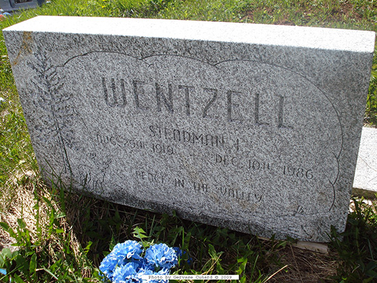 Steadman Wentzell