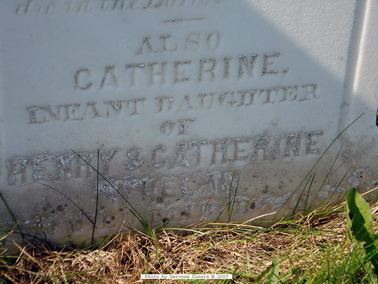 Catherine Whelan