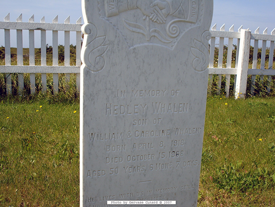 Hedley Whalen