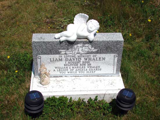 Liam David Whalen