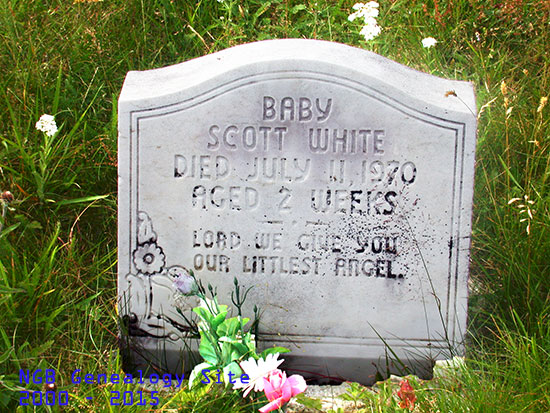 Baby Scott White