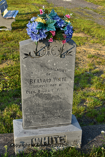 Bernard White