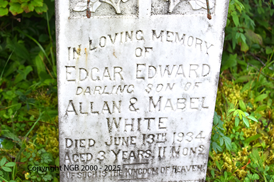 Edgar Edward White
