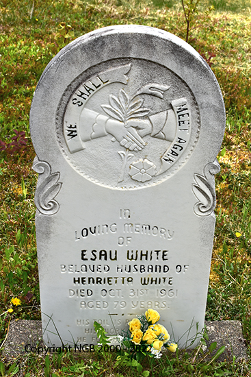 Esau White