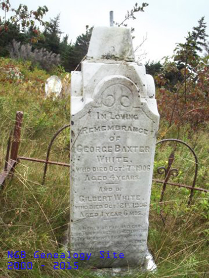 George Baxter & Gilbert White