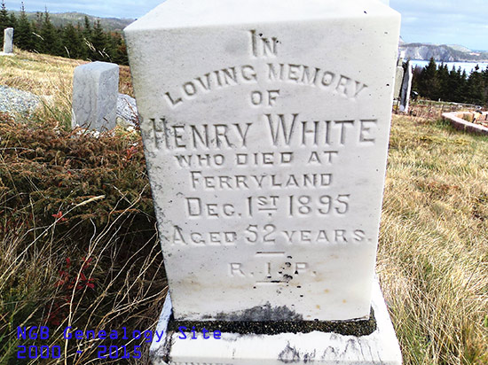 Henry White