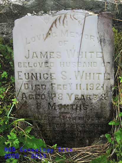 James White