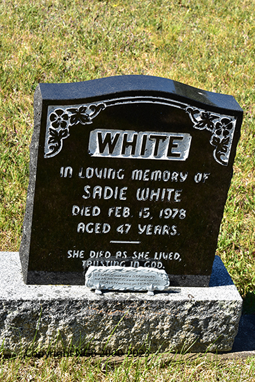 Sadie White