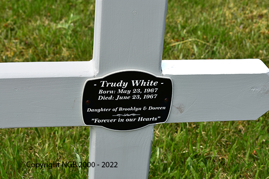 Trudy White