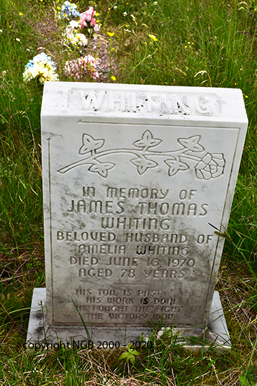 James Thomas Whiting