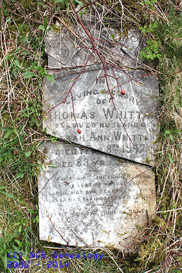 Thomas H. Whitten