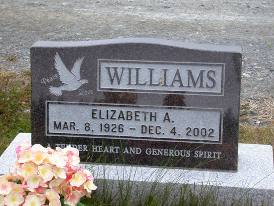 Elizabeth A. Williams
