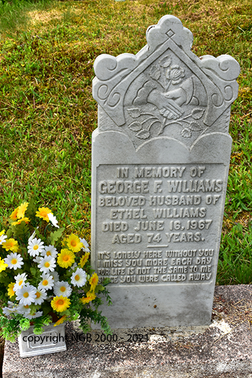 George F. Williams