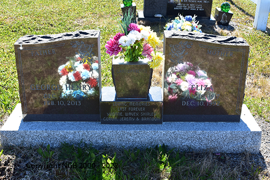 George Henry & Eliza Williams