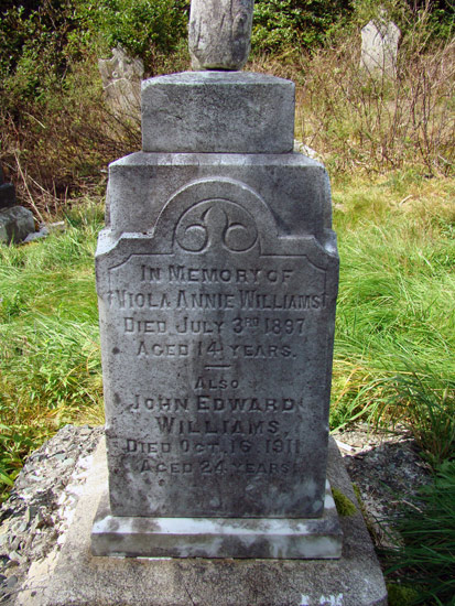 Viola Abbie and John Edward Williams