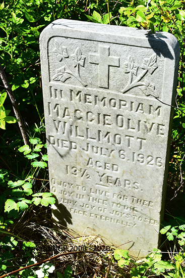 Maggie Olive Willmott