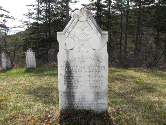 Mary Ann Wilton