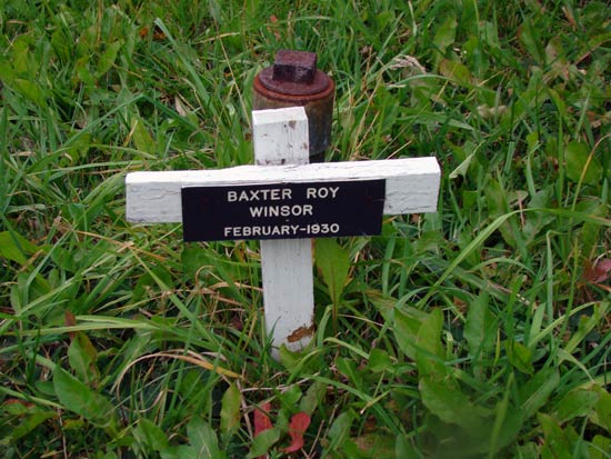 Baxter Roy Winsor