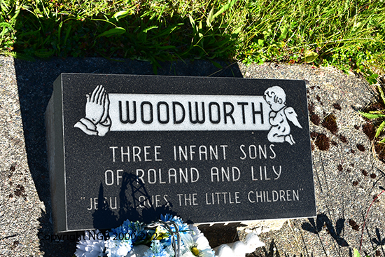 3 Infant Woodworth