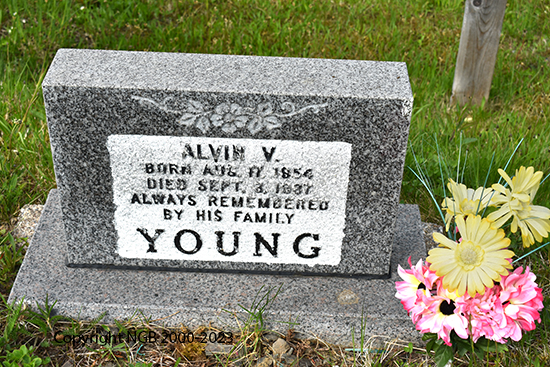 Alvin V. Young